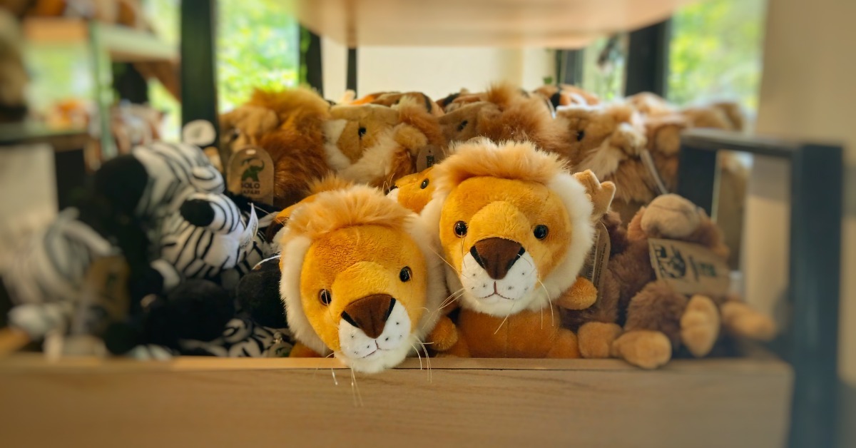 Two orange and tan plush lions sitting on a wooden shelf among other stuffed animals, including a striped zebra toy.