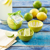 Bar Havana Lemon & Lime Bowl Set